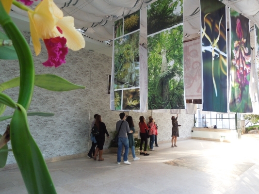 La Embajada de Colombia en Portugal presentó las obras de la artista colombiana Claudia Isabel Navas en el Jardín Botánico de Ajuda